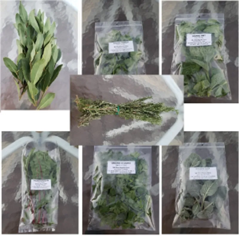 Organic Fresh Herbs
