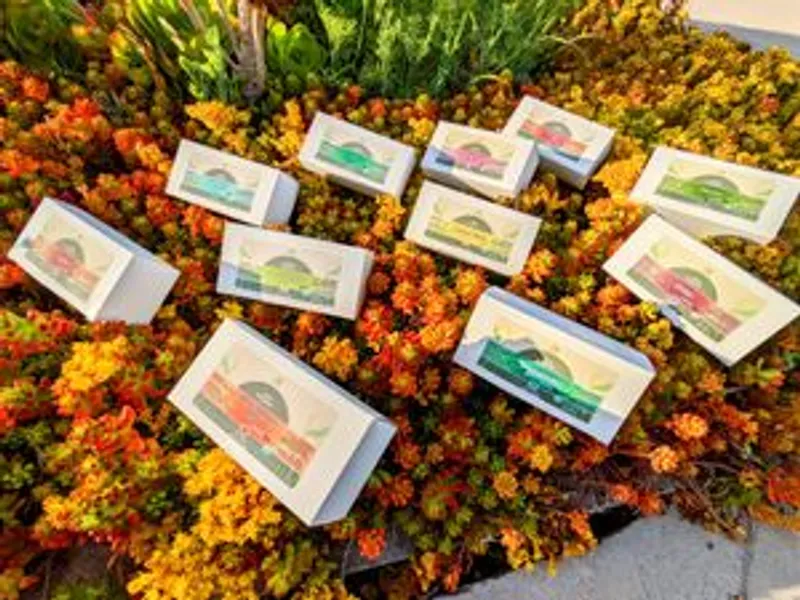 Organic Herbal Teas
