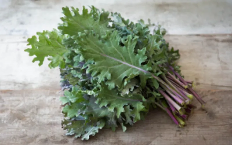 Organic Kale (per bunch)