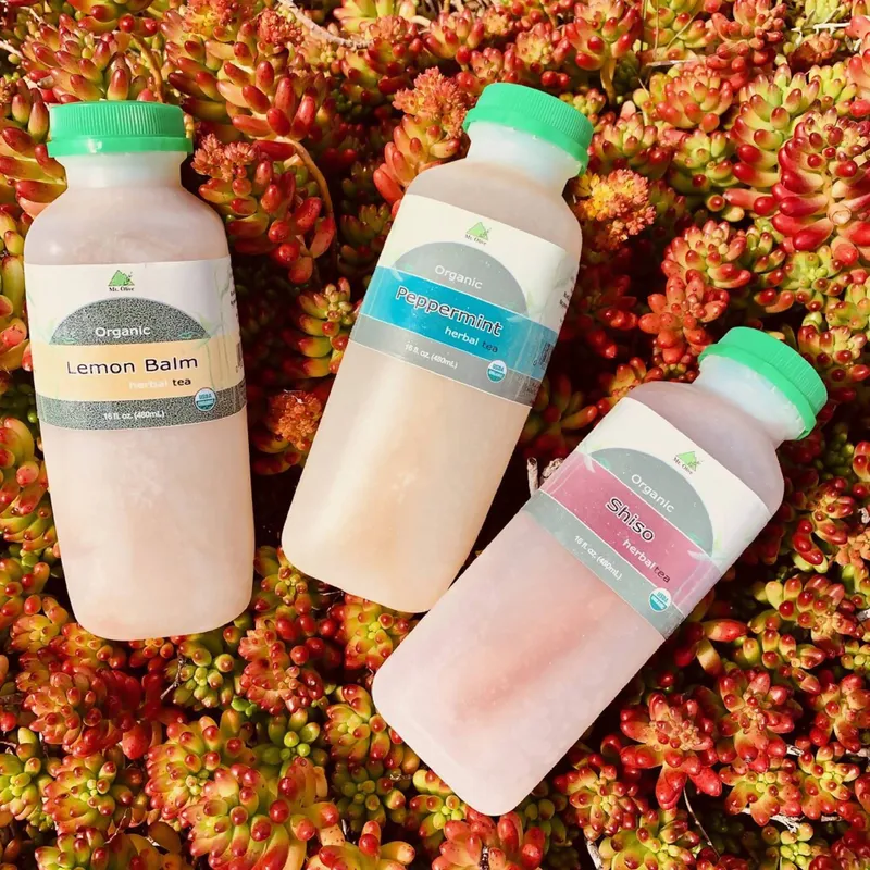 Organic Iced Teas