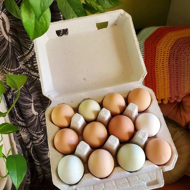 Pasture Raised Eggs - Large