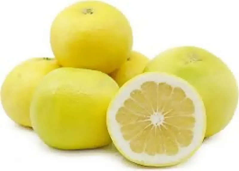 Organic Oro Blanco Pomelo
