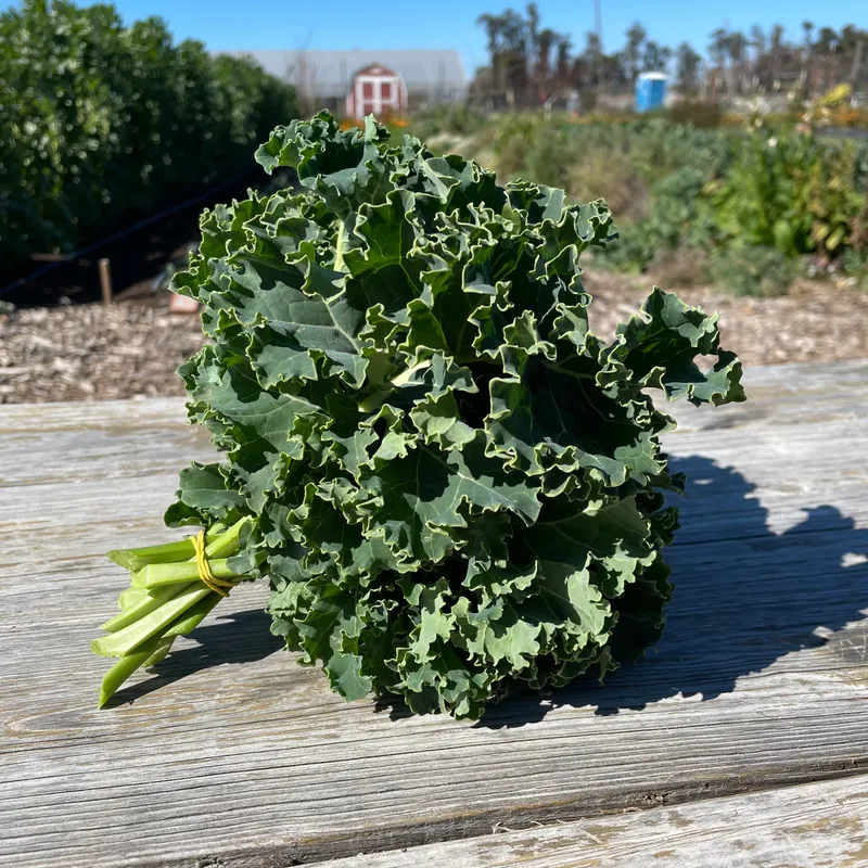 Curly Kale (per bunch)