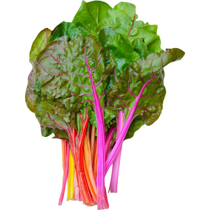 (1) BU Organic Rainbow Chard