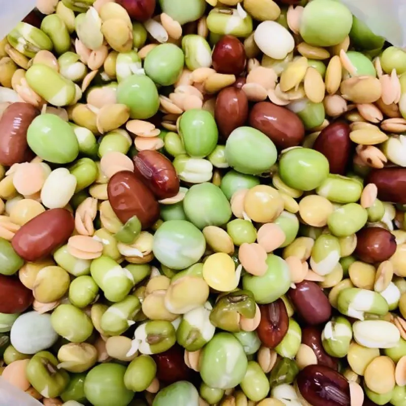 Organic Salad Sprouts, 6oz