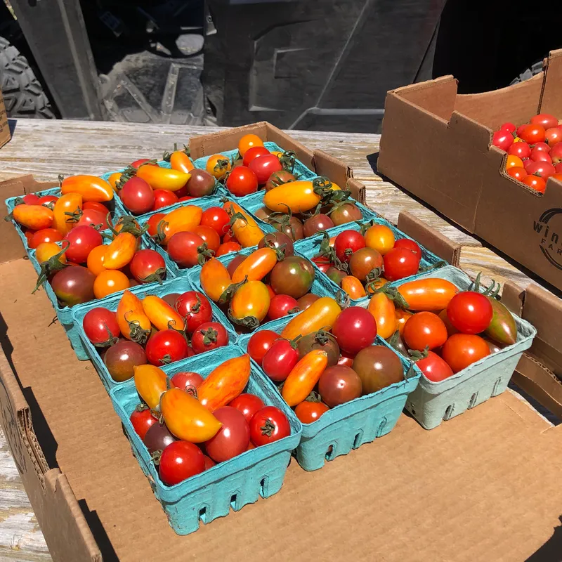 Cherry Tomatoes - 1 Pint