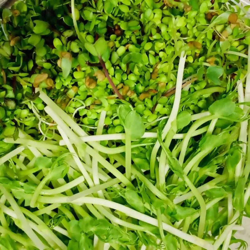 Organic Mix Sprouts, 4oz