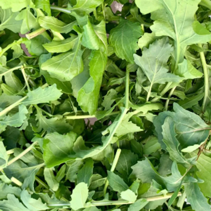 Organic Baby Arugula, 4-6oz