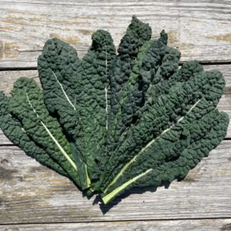 Dinosaur Kale (per bunch)