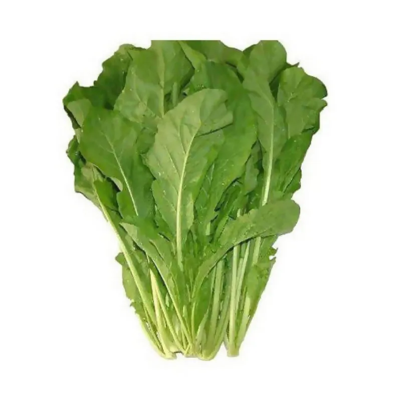 Organic Arugula