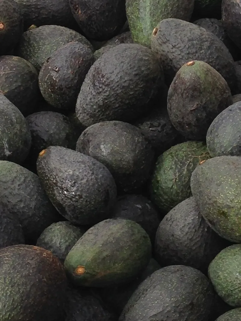 Hass Avocados - Snack Size (1lb)