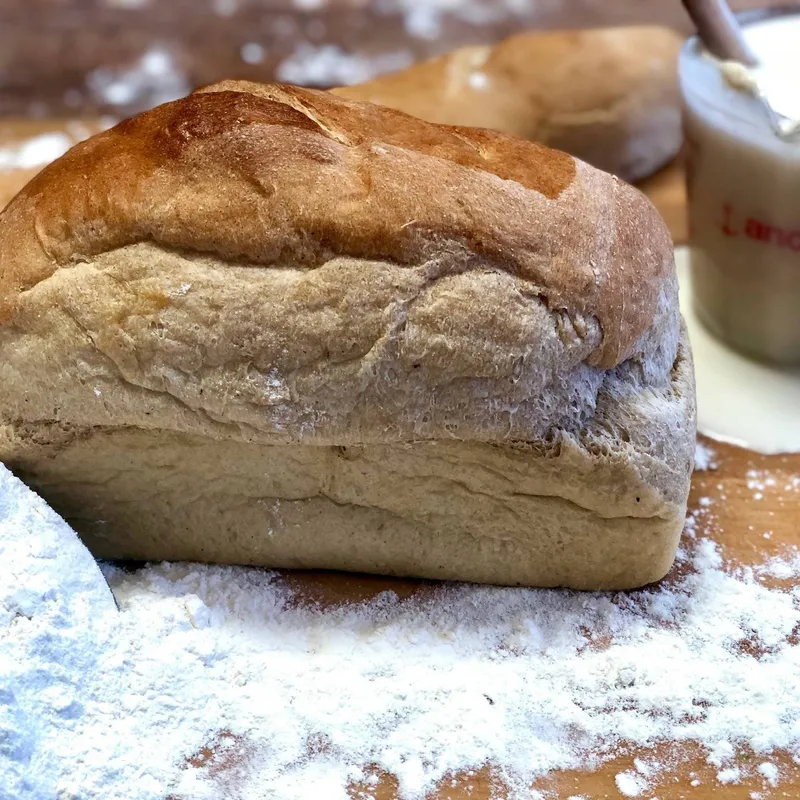 Sourdough Bread