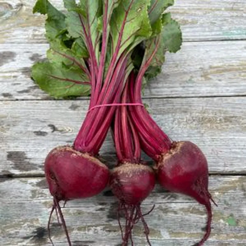 Beets - Red (1 Bundle)