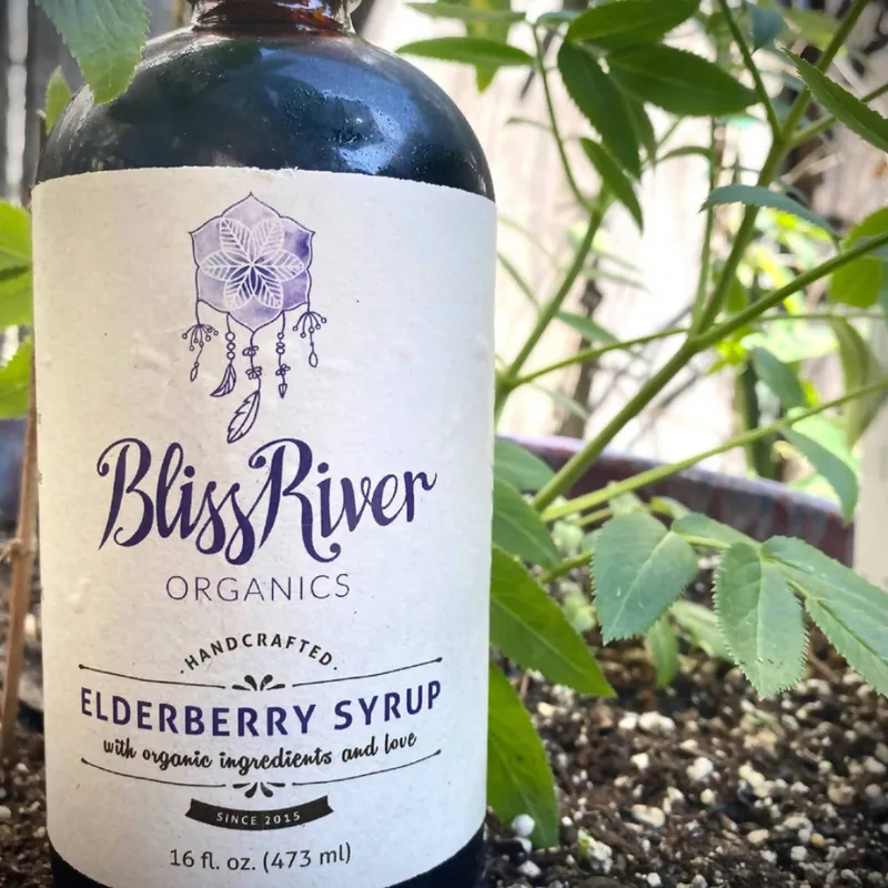 Elderberry Syrup 16oz.