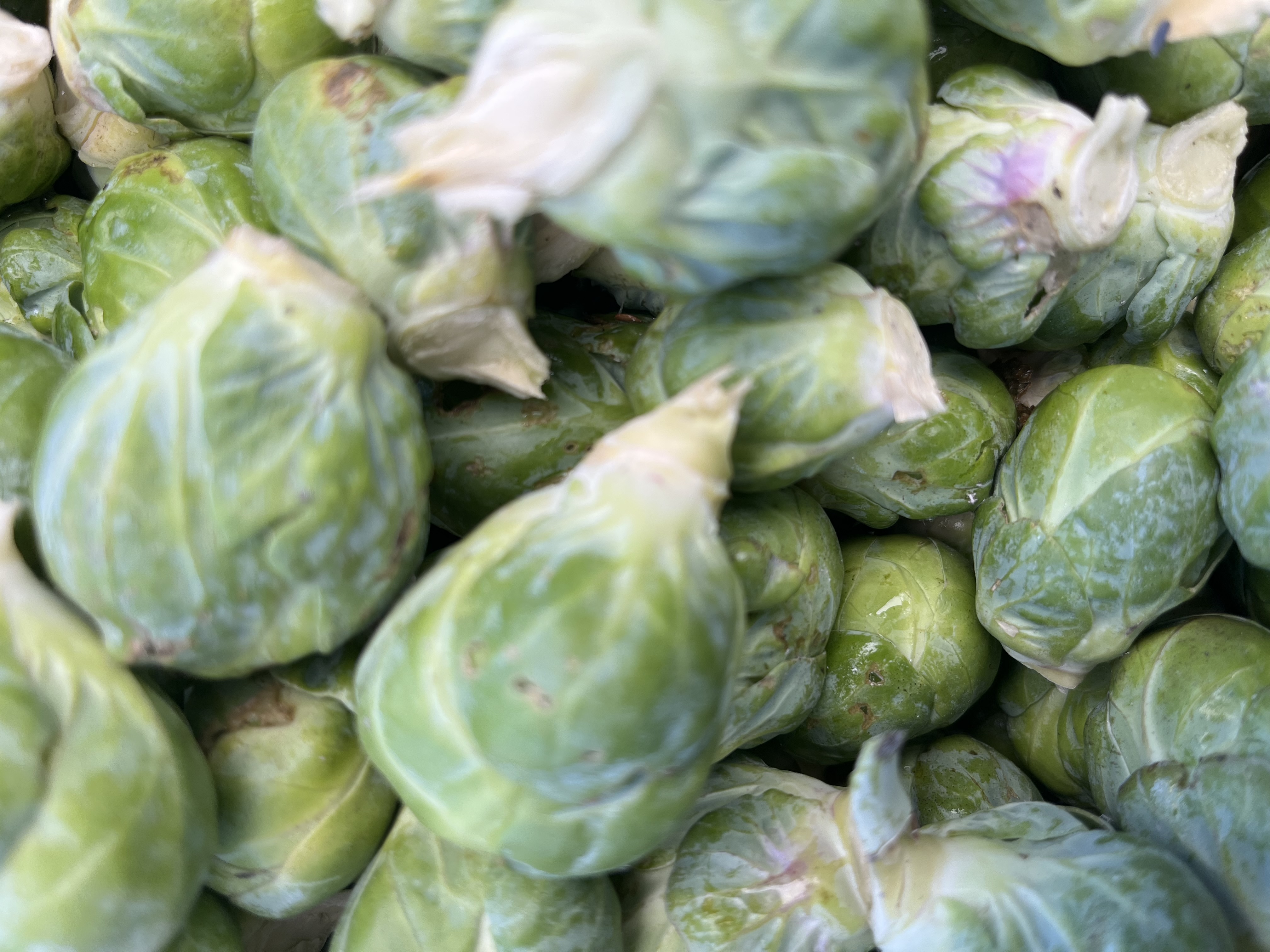 Brussels sprouts