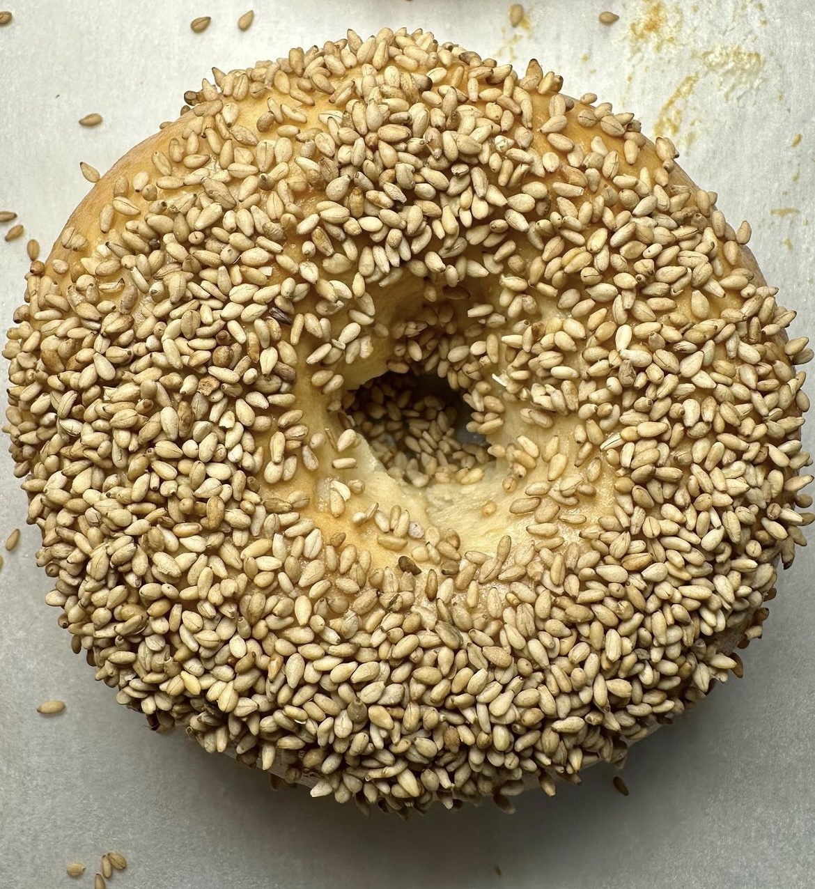 Sesame Bagel