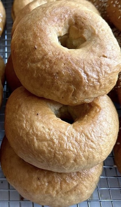 Plain Bagel