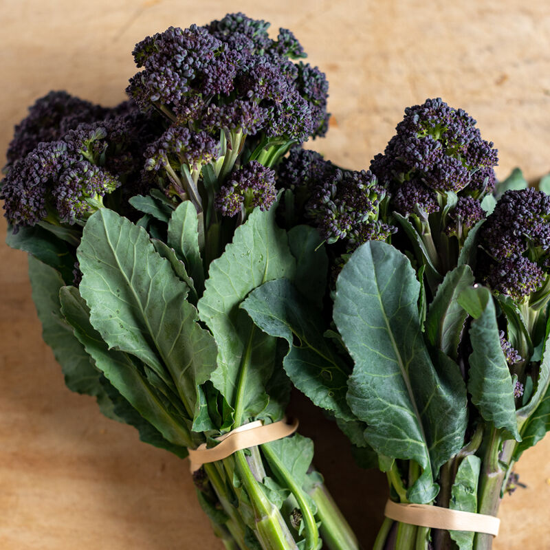 (1) Bunch Organic Burgundy Baby Broccoli