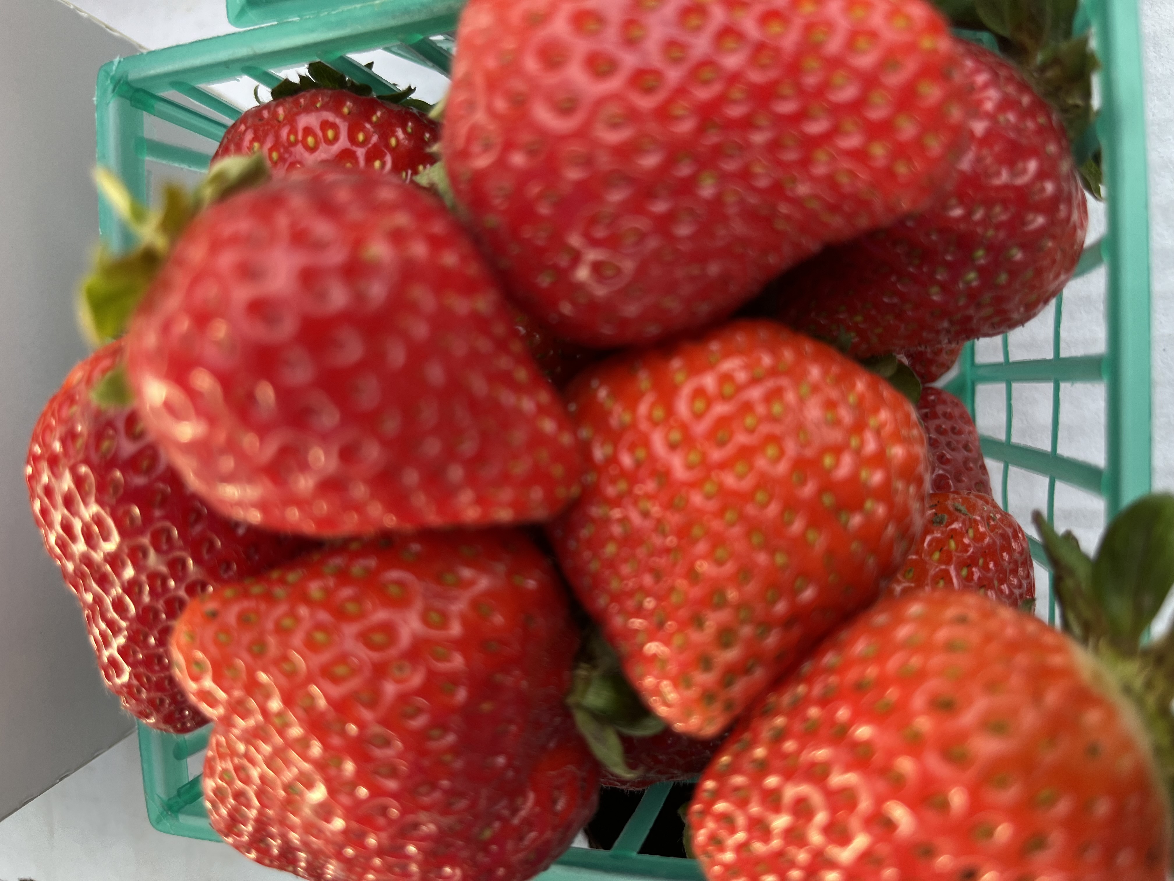 Strawberries (1 pint)