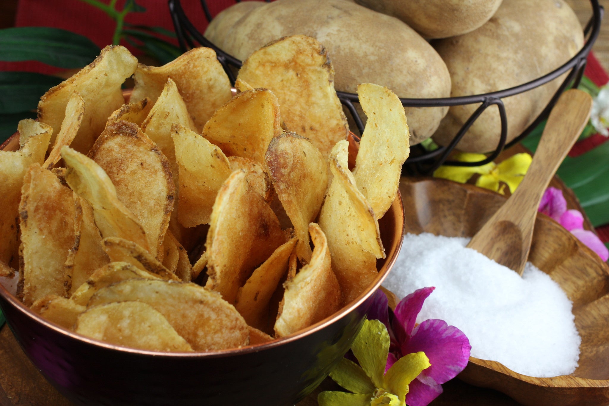 Himalayan Pink Salt Chips