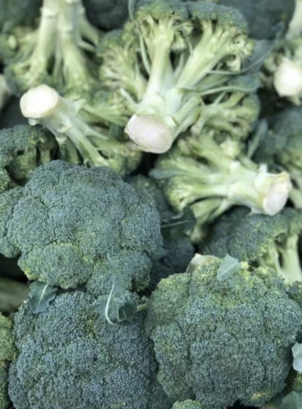 Broccoli (per pound)