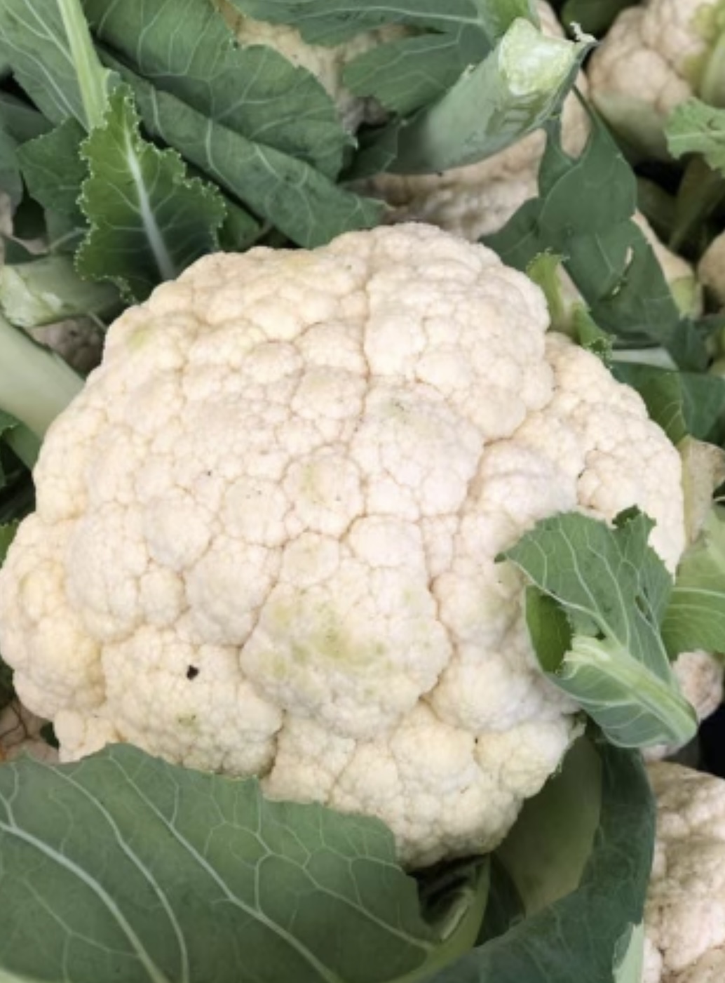 Cauliflower (per head)