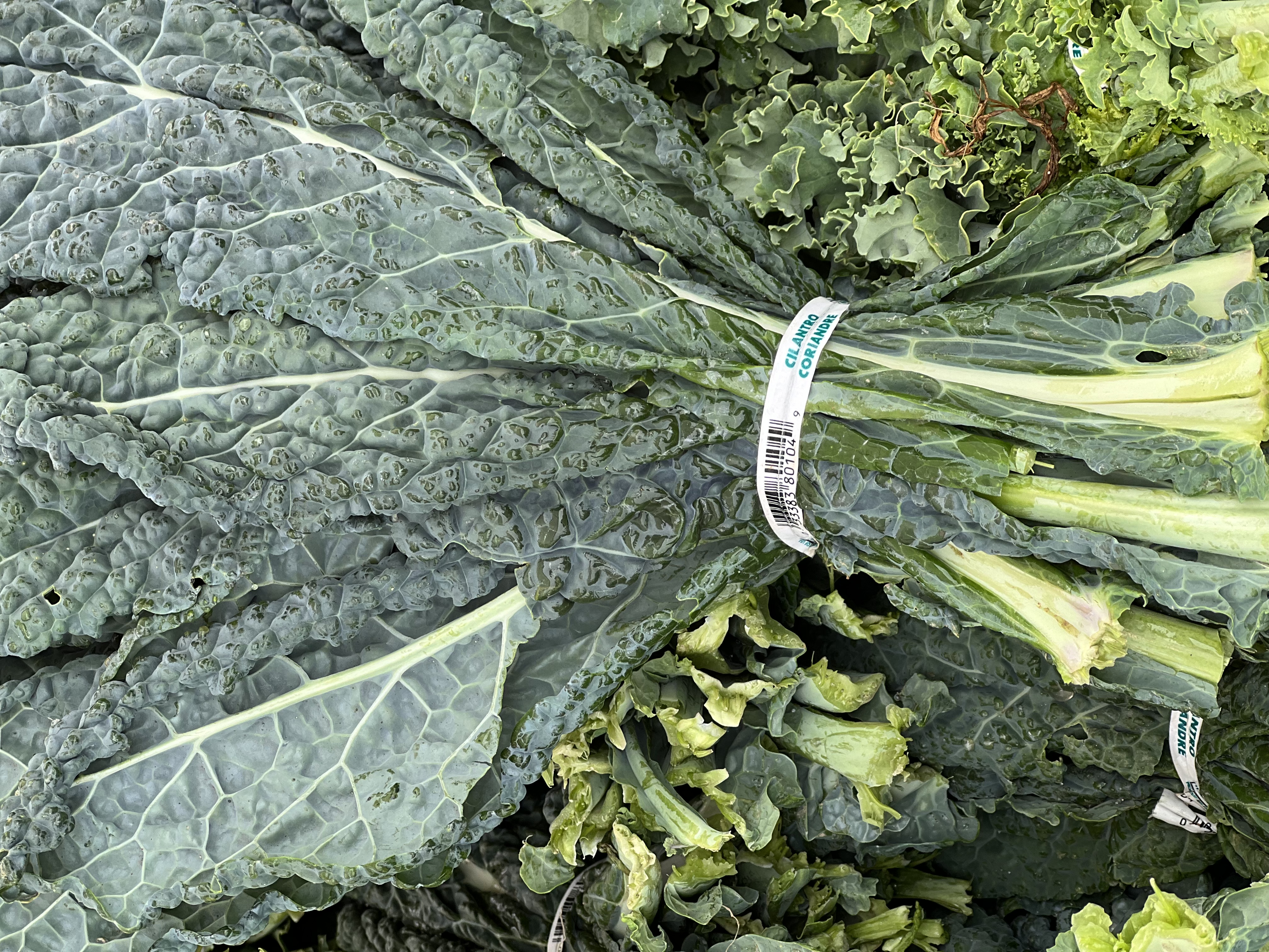Kale (sold per bunch)