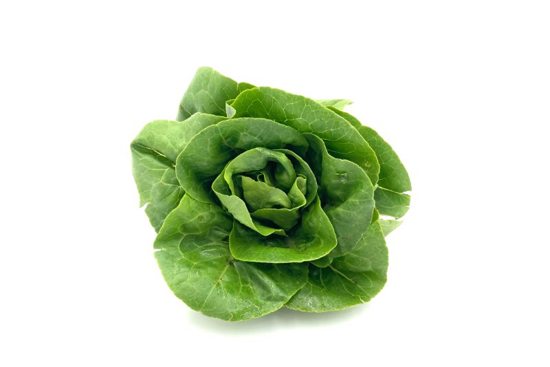 (1) Head Organic Little Gem Lettuce