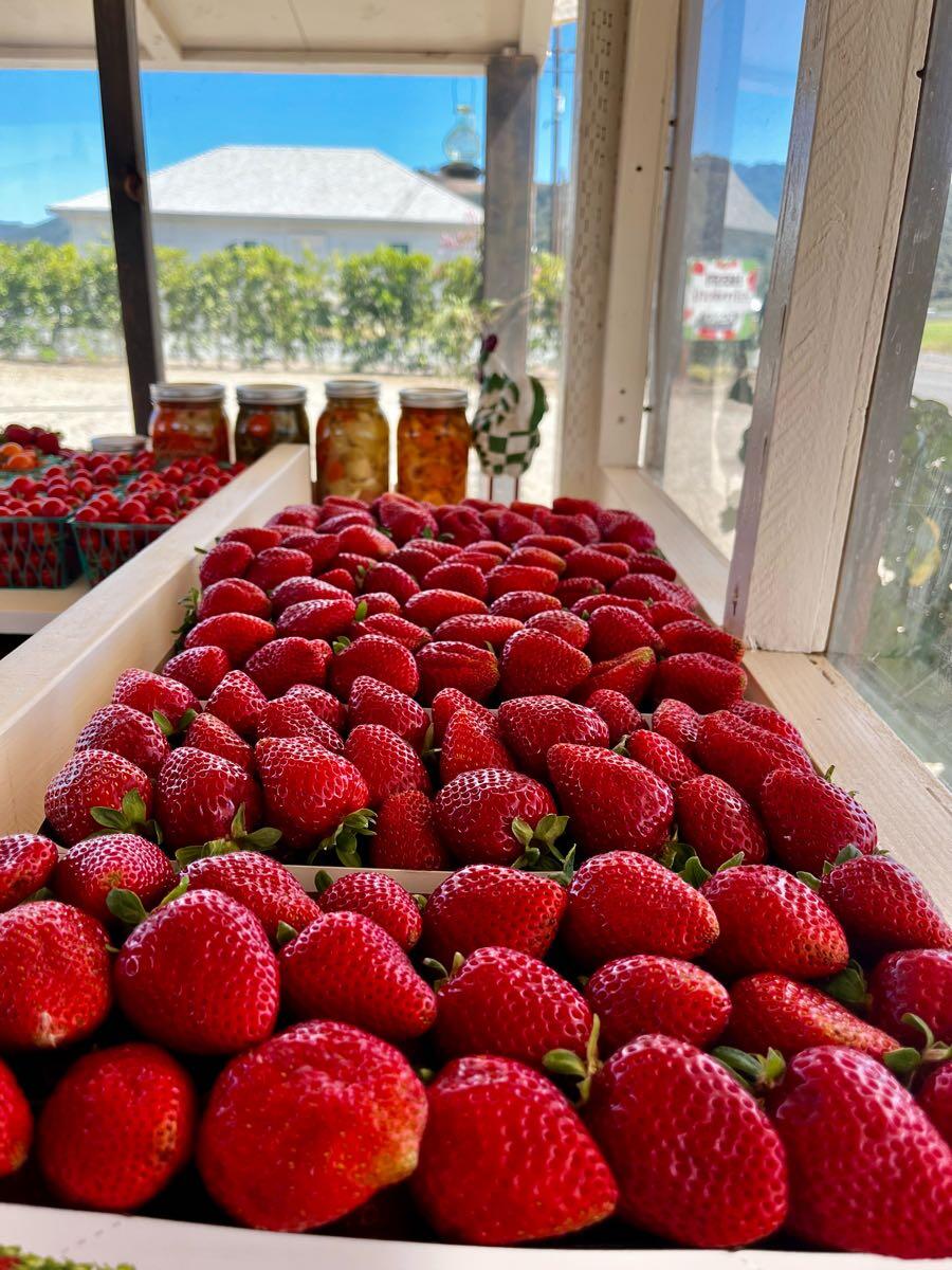 Strawberries (per flat)