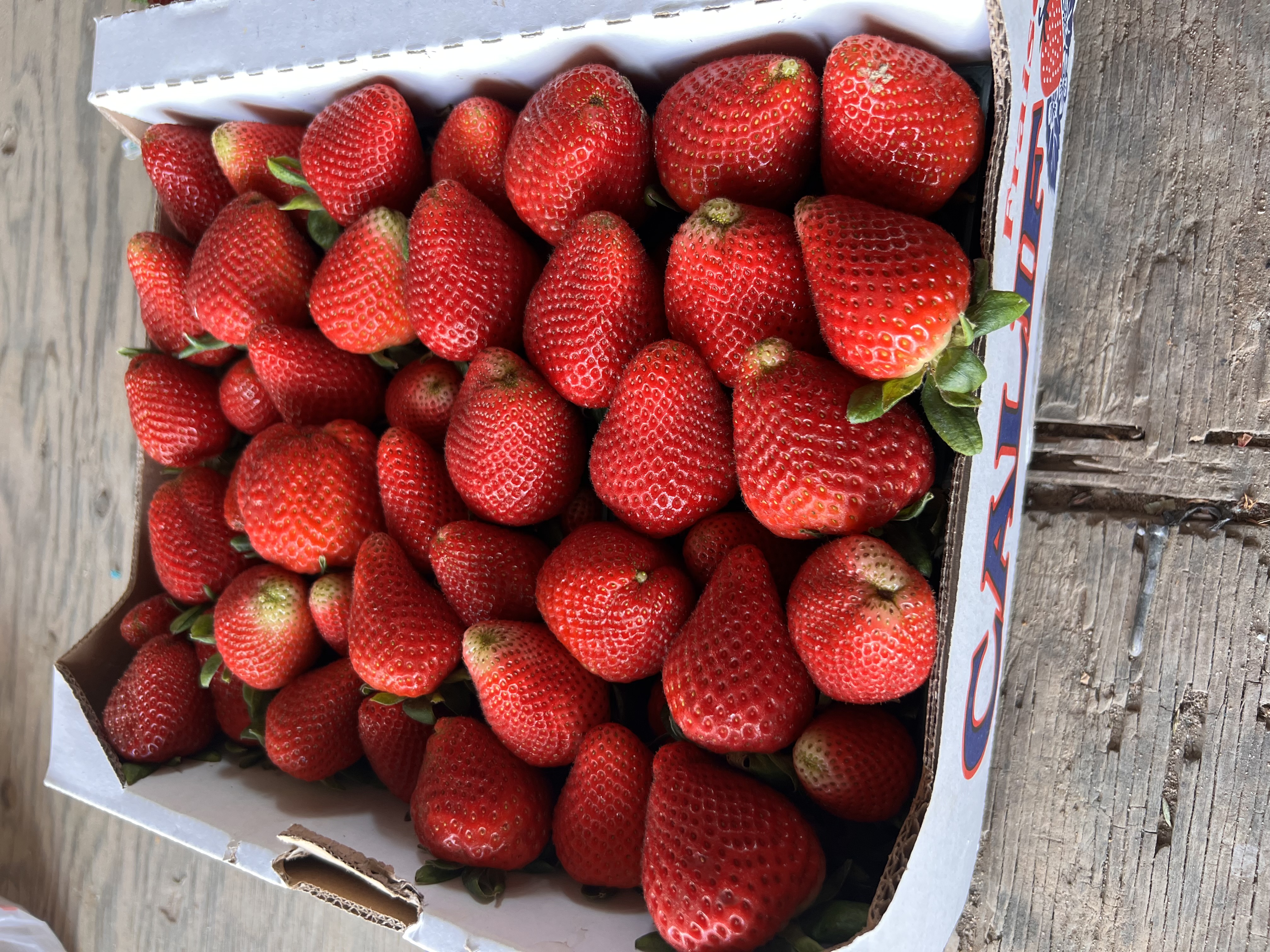 Strawberries 1/2 Flat