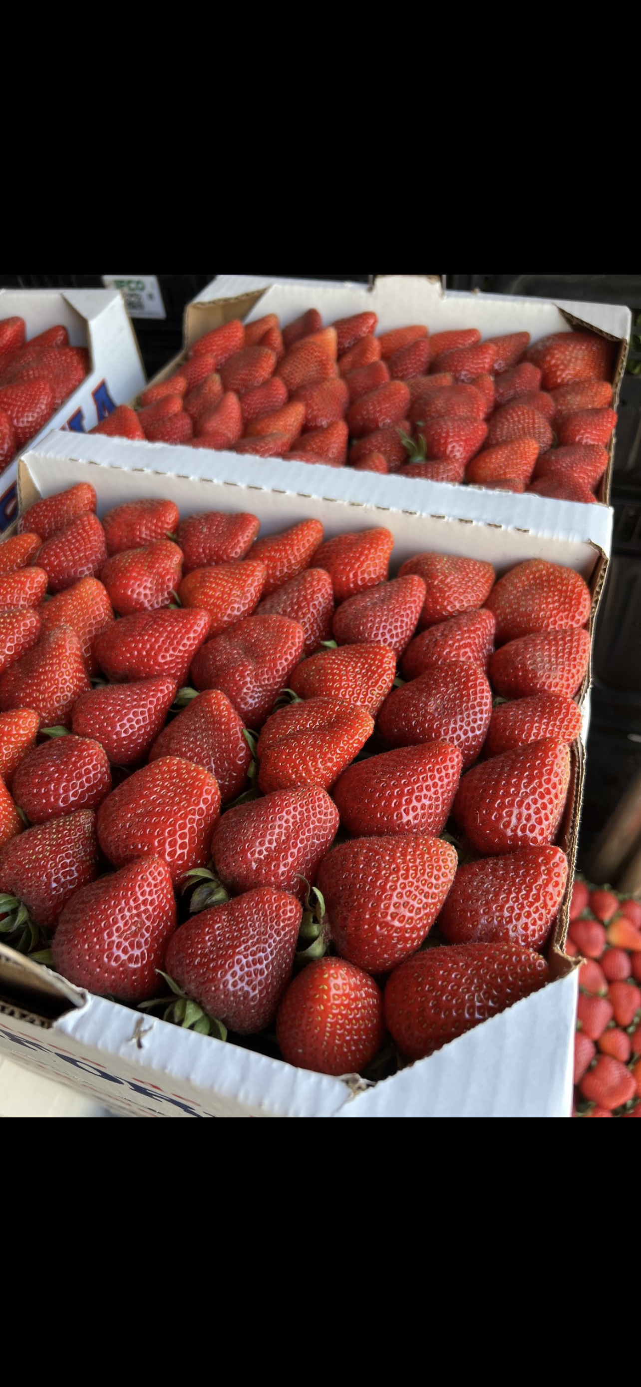 Strawberries Full Flat