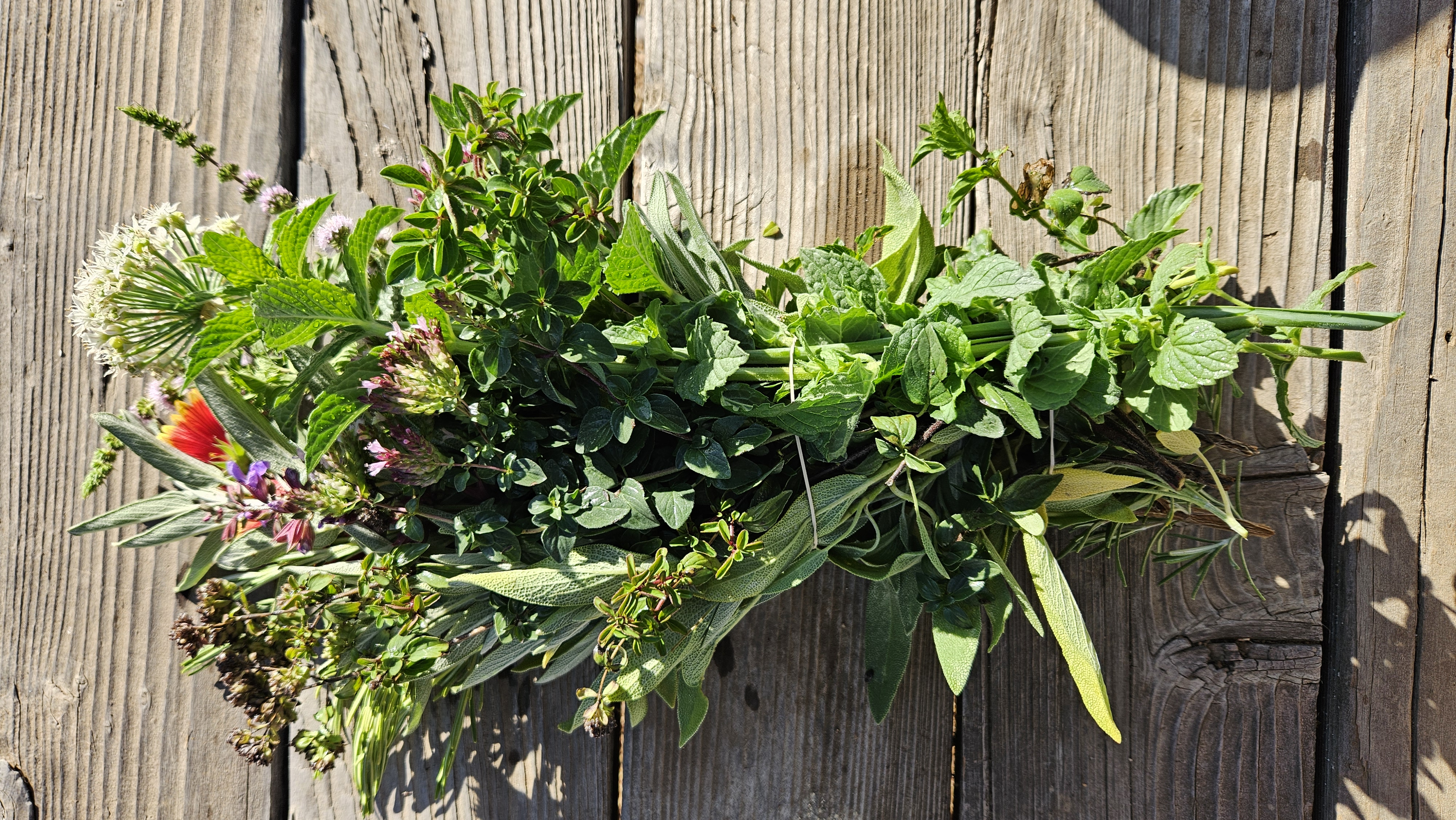 Herb Bouquet