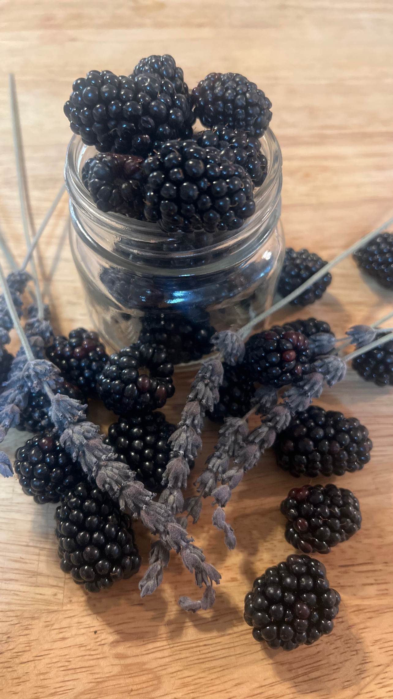 Blackberry Lavender Jam (10 oz)
