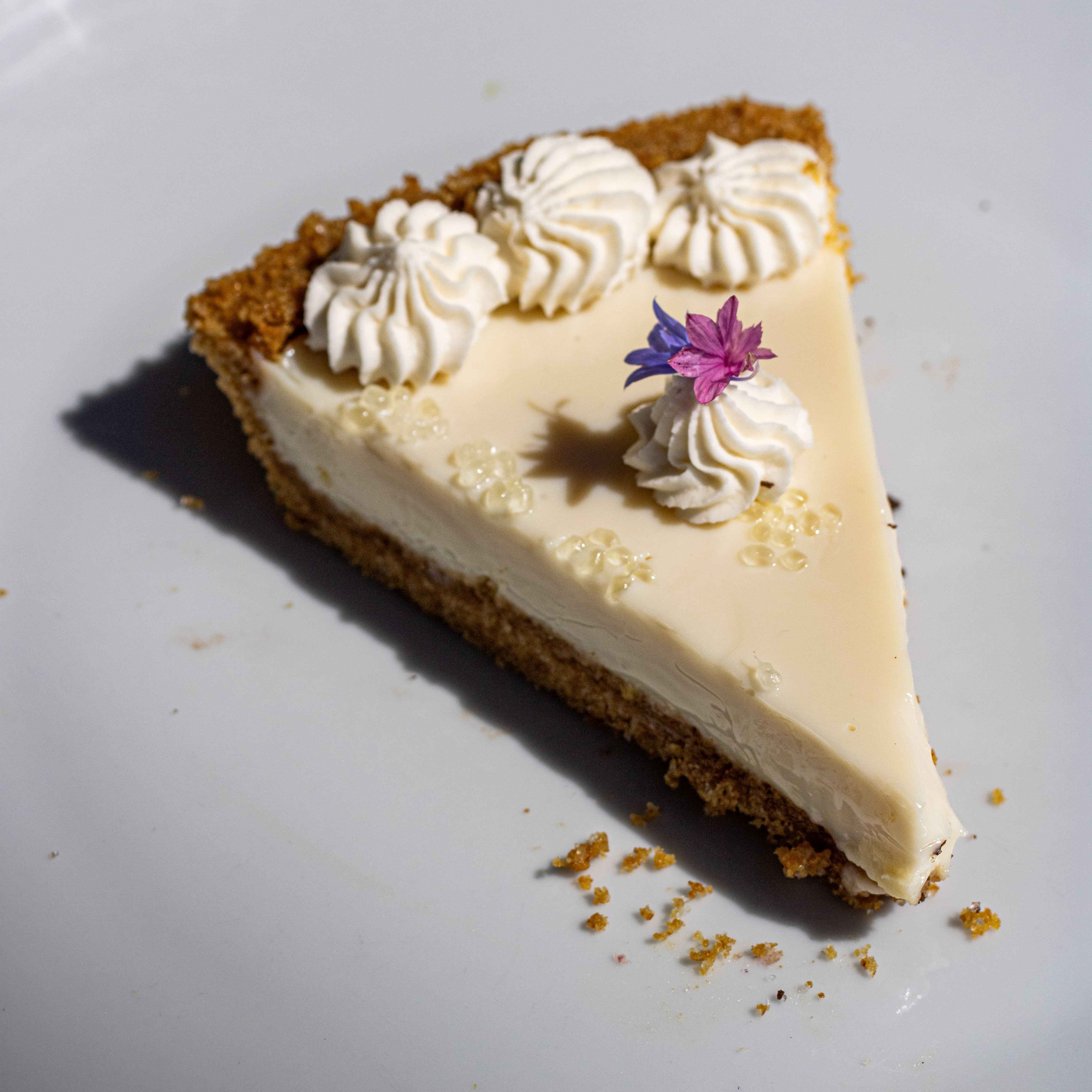 Seasonal Citrus Pie - Slice