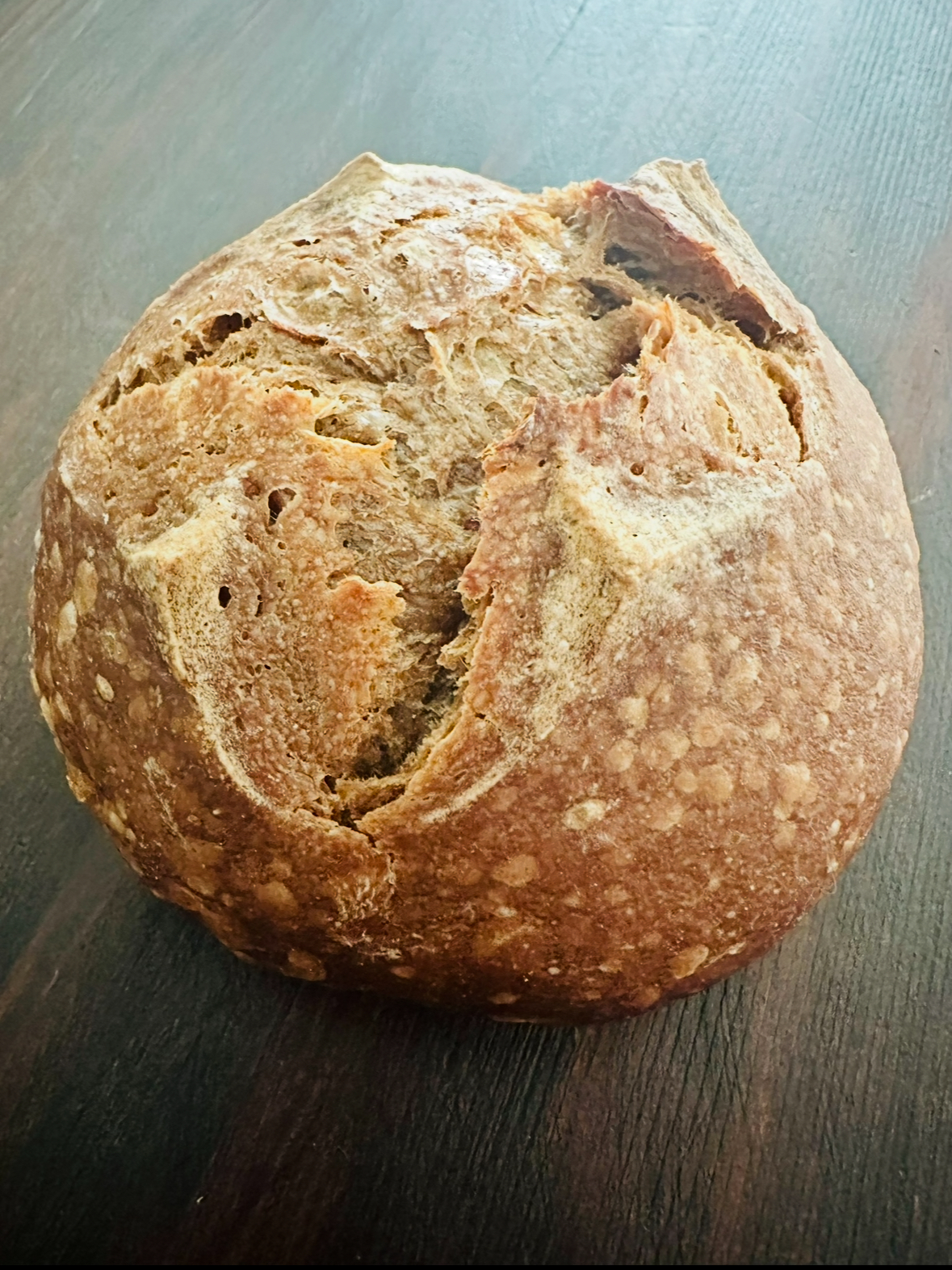 Sourdough: Oktoberfest Guinness Dark Sourdough Loaf