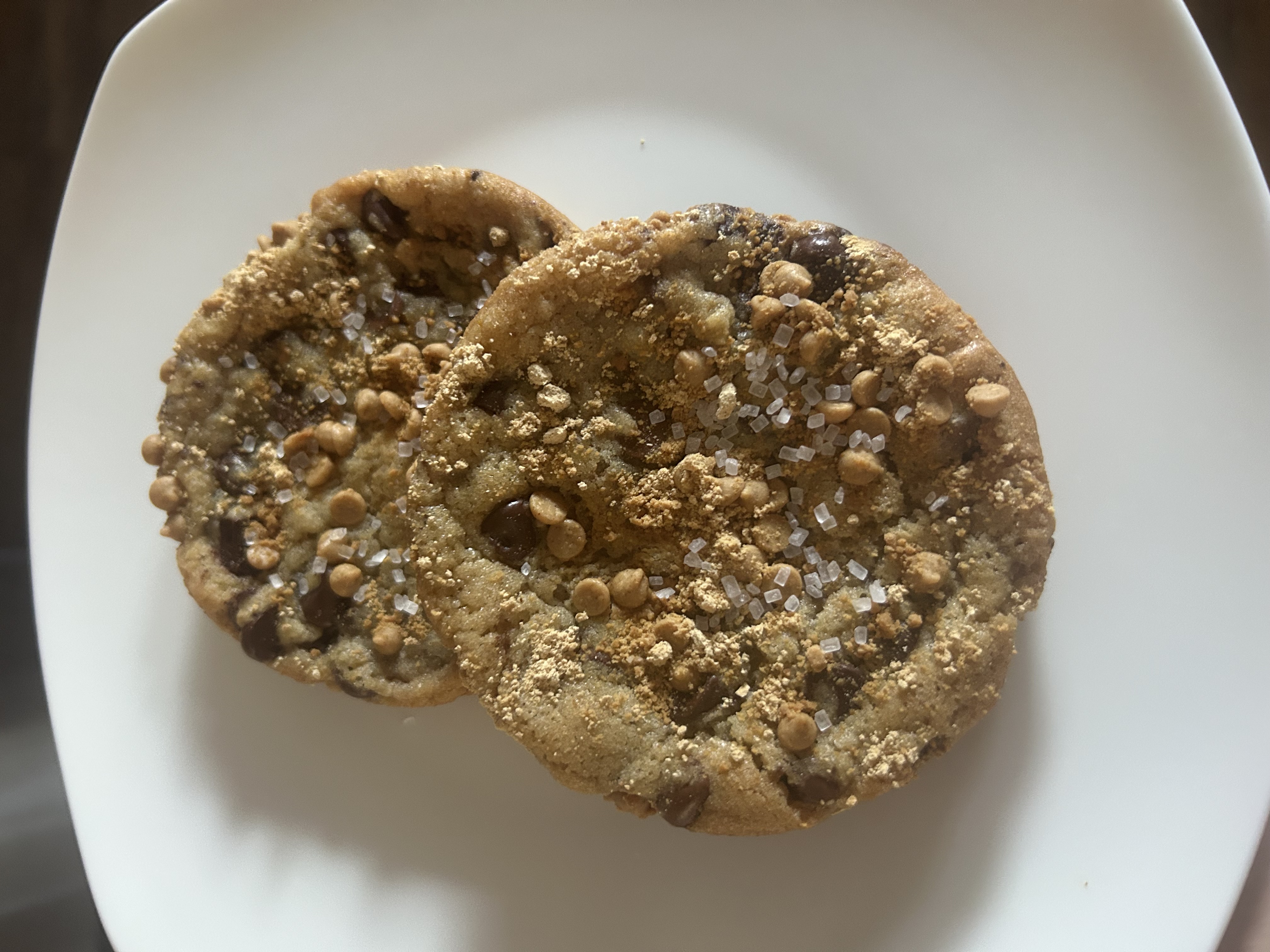 Peanut butter Chocolate Sourdough cookies (2)