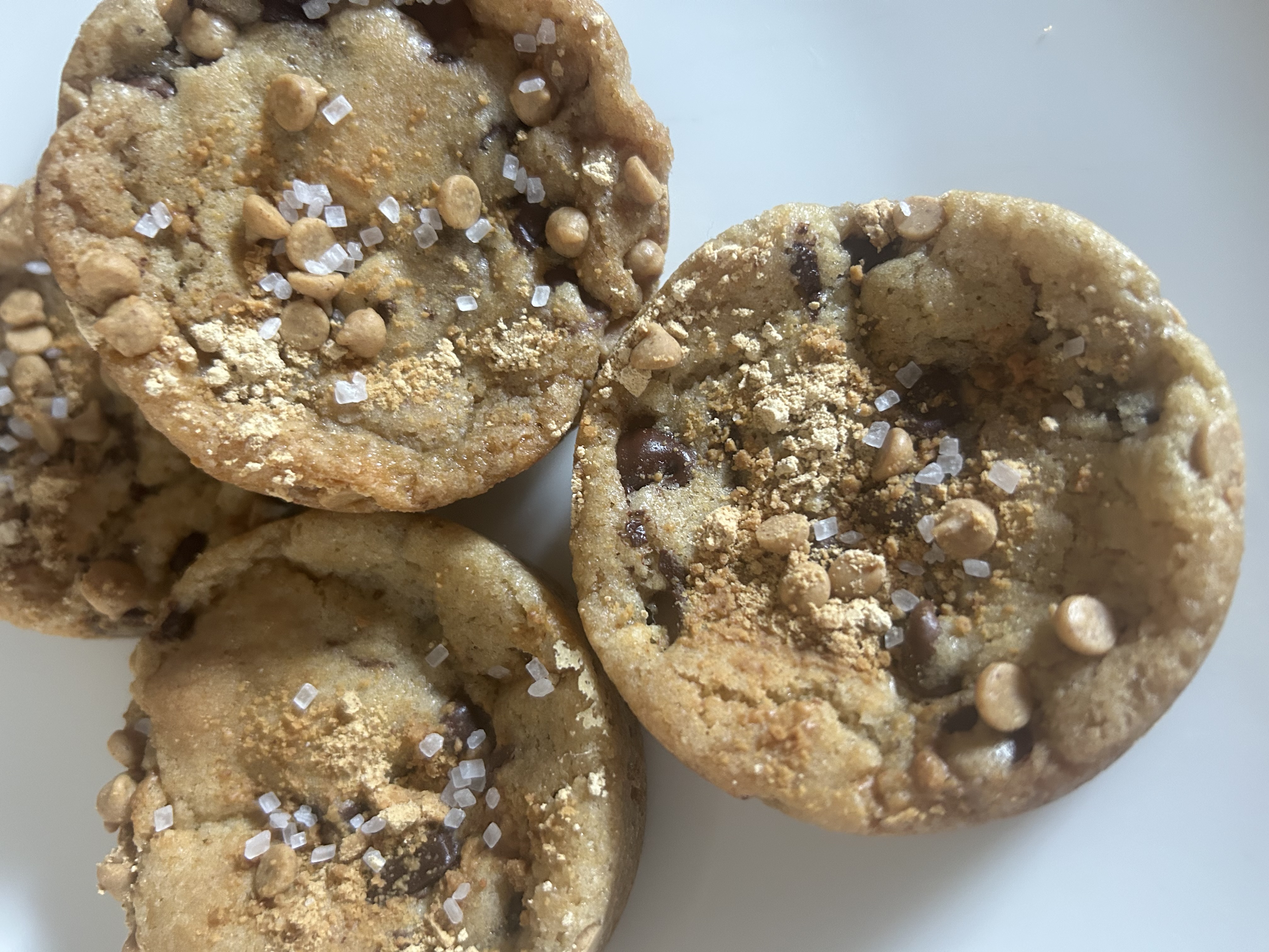 Peanut Butter Chocolate Sourdough Cookies small( 6)