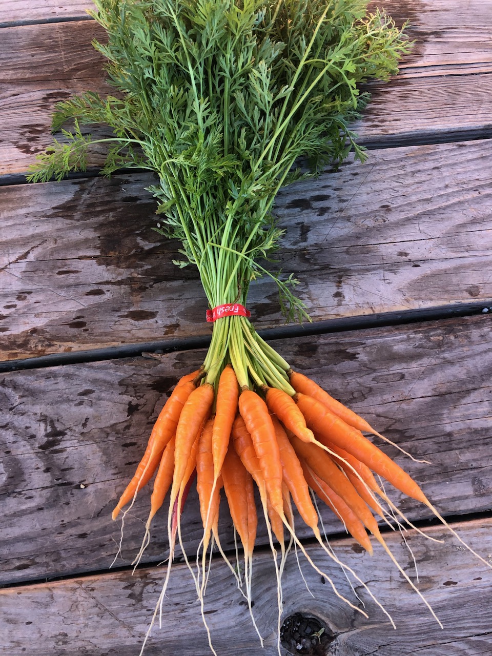 Carrots (bunch)