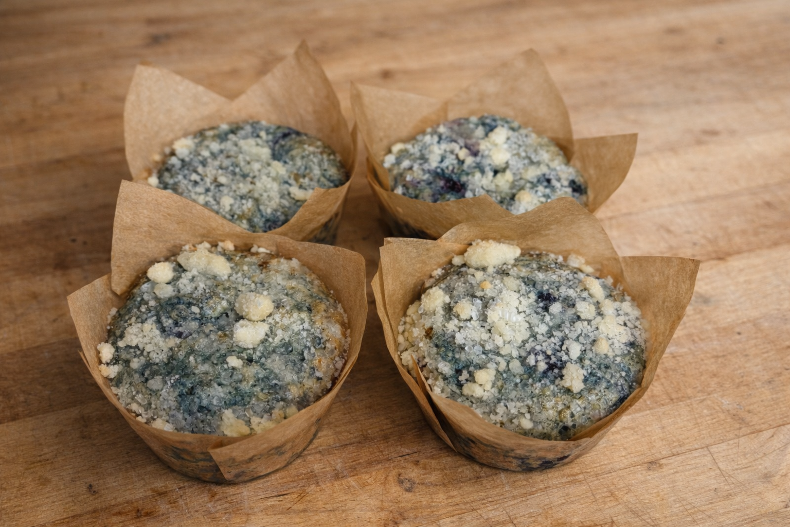 Blueberry Sourdough Muffins (4)