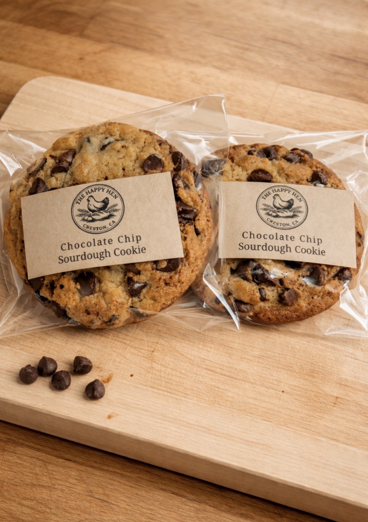 Chocolate Chip Sourdough Cookie