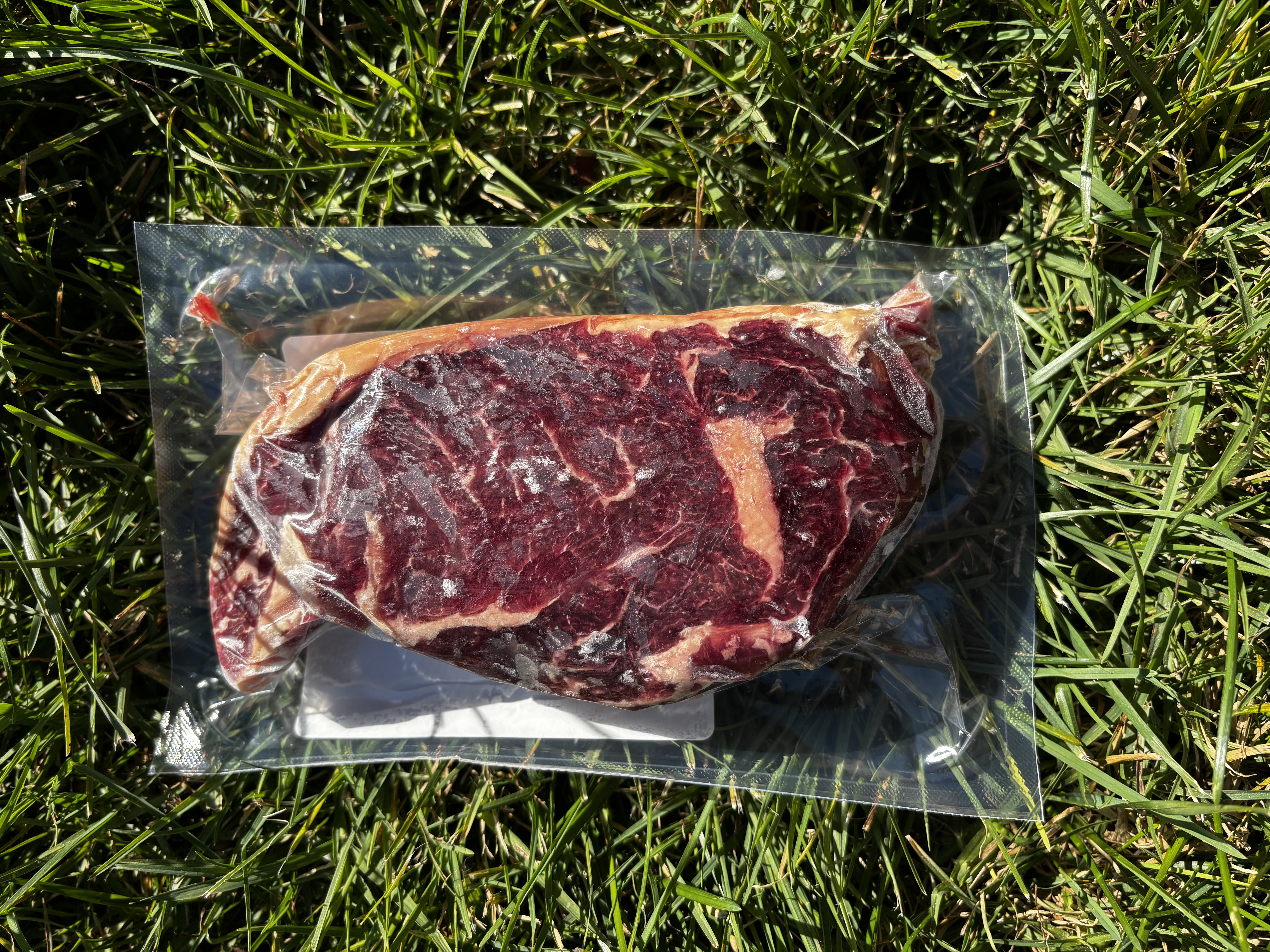 Ribeye Steak: 100% Grass Fed
