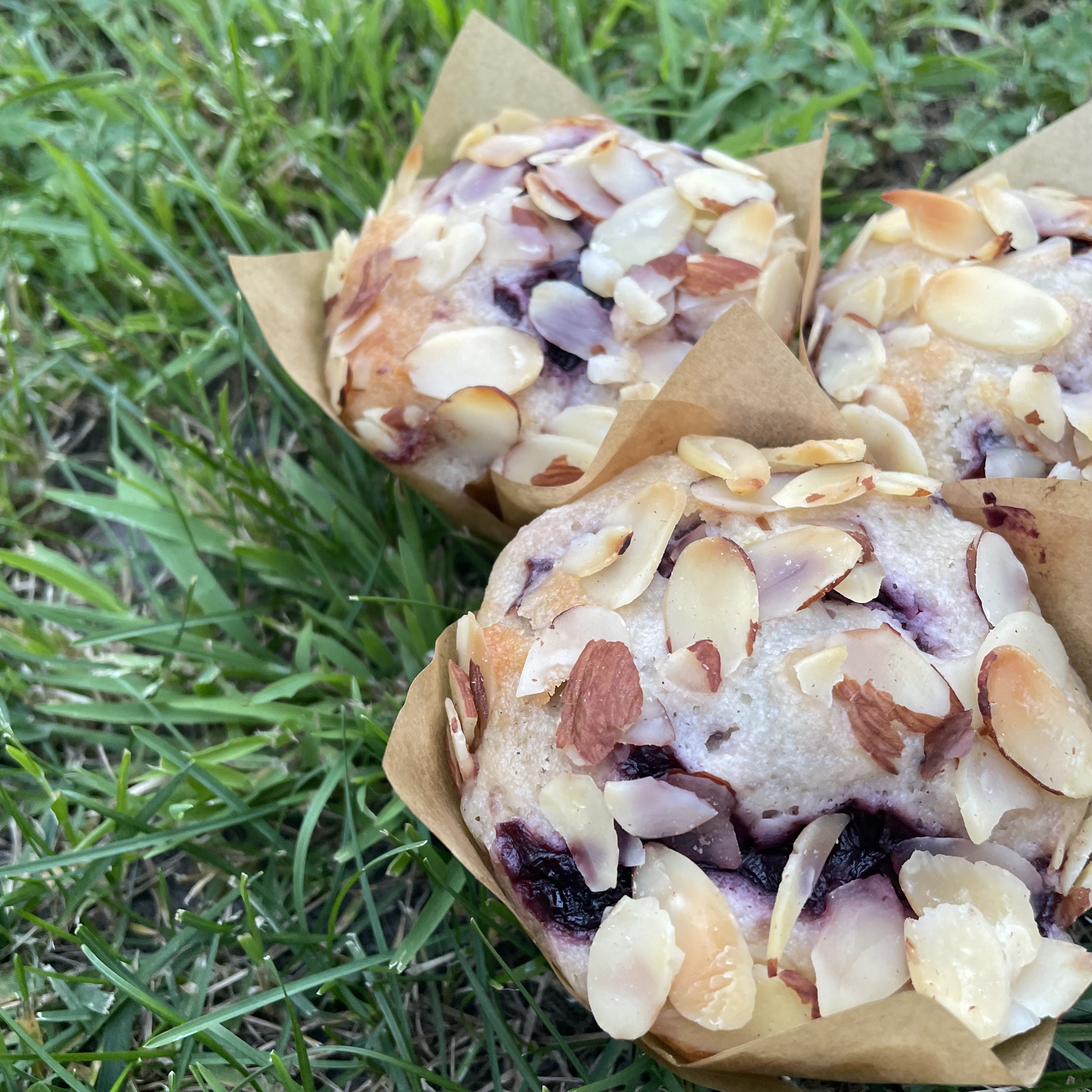 Almond Cherry Muffins (4 per order)