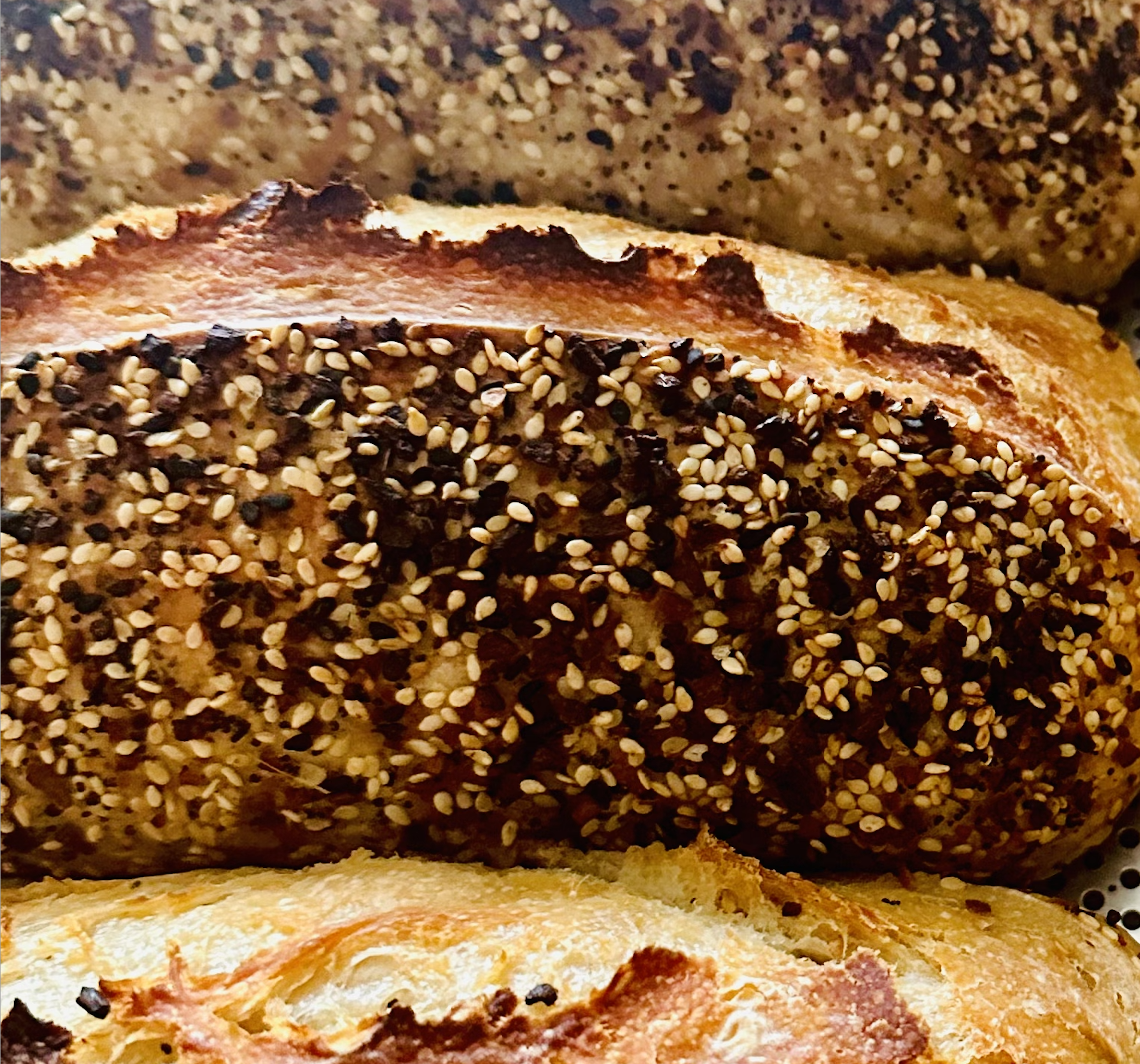 Sourdough: Everything & Asiago Cheese