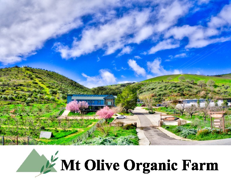 Mt Olive Organic Farm logo