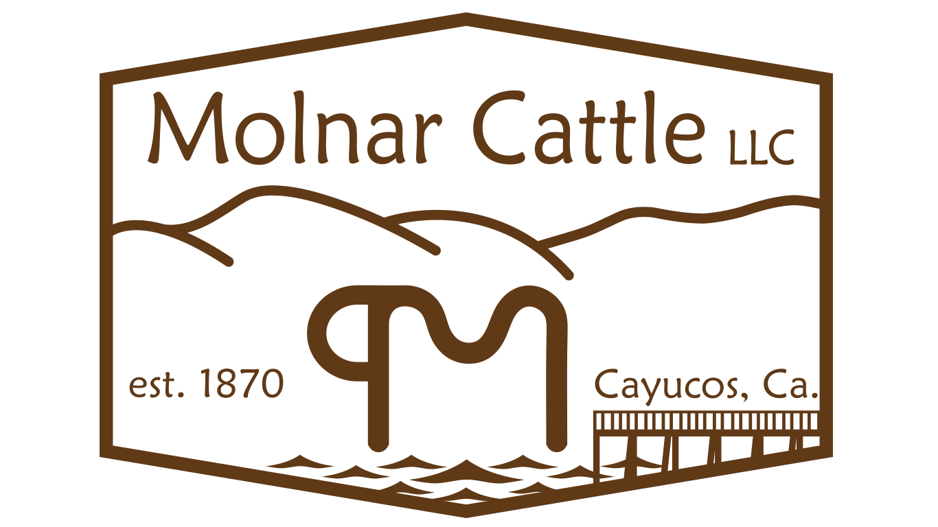 Molnar Cattle LLC - Beef by the Beach logo