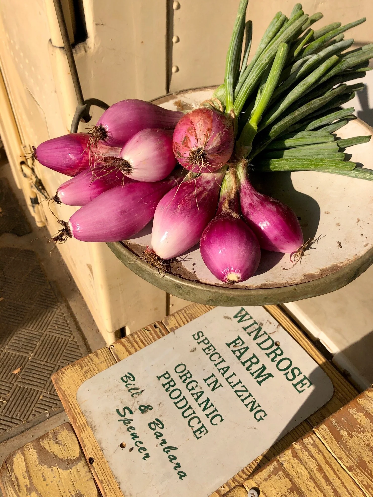 Windrose Farm logo