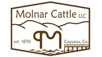 Molnar Avocados